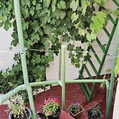 New Bazaar 3* Tirana