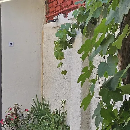 New Bazaar بيت ضيافة 3*