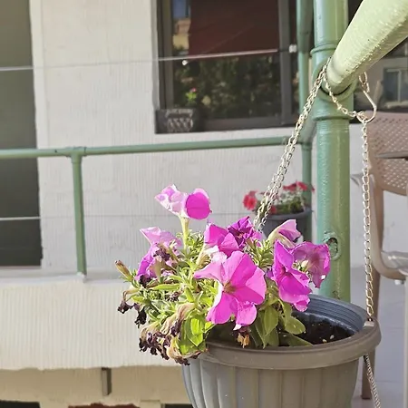 Guest house New Bazaar Tirana