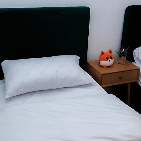 New Bazaar Vendégház Tirana