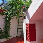 Πανσιόν New Bazaar Τίρανα
